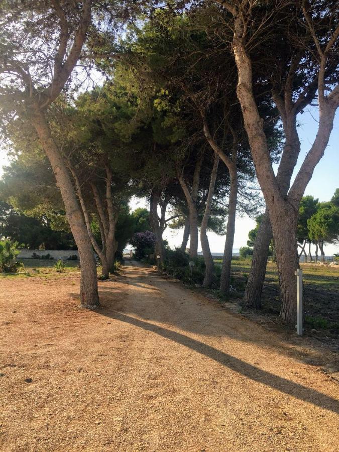 Case Vacanze Spagnola 106 Marsala Extérieur photo